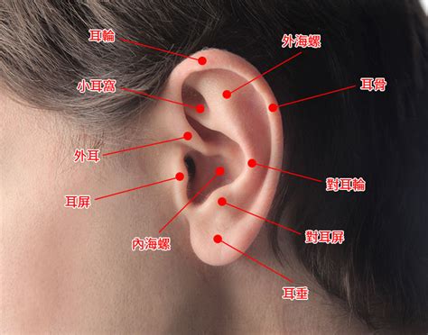耳垂耳洞
